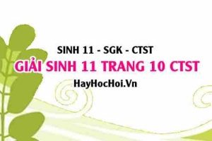 Giải Sinh 11 trang 10 Chân trời sáng tạo SGK